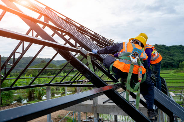Professional Roofing Contractor in Darien, GA