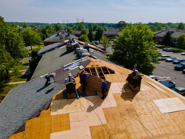 Residential Roof Replacement in Darien, GA