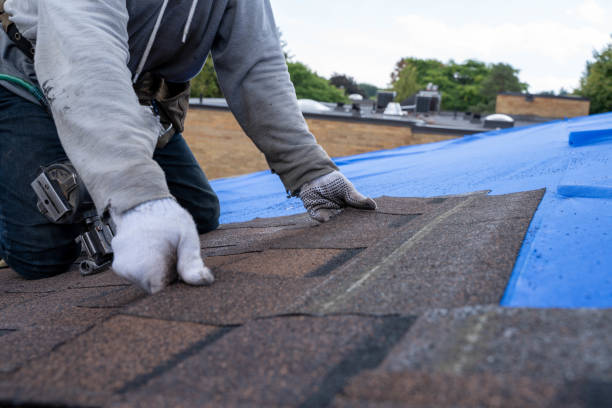 Best Gutter Installation and Roofing  in Darien, GA