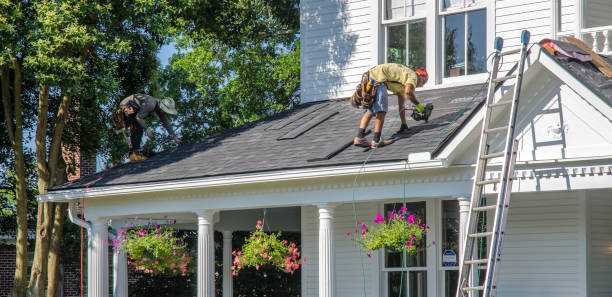 Best Metal Roofing Contractor  in Darien, GA