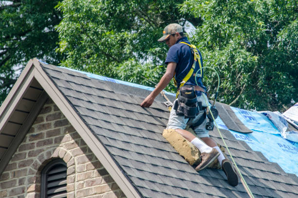 Best Residential Roof Replacement  in Darien, GA