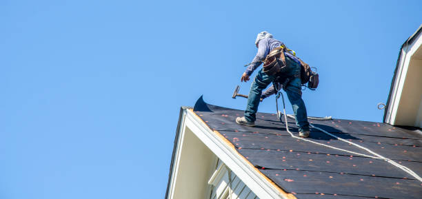 Best Roof Repair Services  in Darien, GA